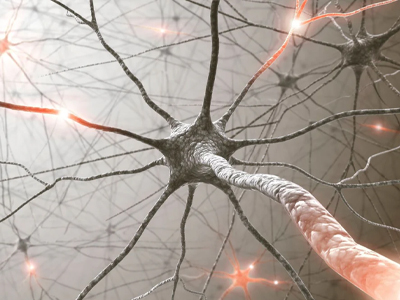 Physiotherapy Clinic